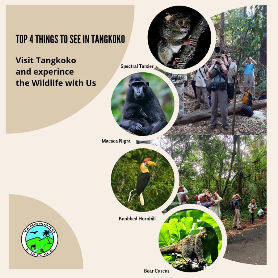Tangkoko Lodge Bitung Екстер'єр фото
